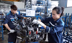 Nghị quyết 68-NQ/TW: Đưa dòng vốn tín dụng đến đúng doanh nghiệp, đúng nhu cầu