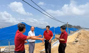  Vẫn còn dư địa giảm lãi vay, vốn tiếp tục ‘rót’ vào lĩnh vực ưu tiên 