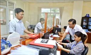 Siết chặt quản lý thuế doanh nghiệp có giao dịch liên kết