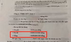 ‘Nợ thẻ tín dụng 8,5 triệu thành nợ xấu 8,8 tỷ đồng’: Băn khoăn tính lãi kép và lãi theo dư nợ gốc