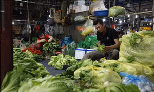 Hoạt động tiêu dùng đã trở lại bình thường, sức mua chủ yếu vào đồ tươi sống
