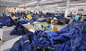 Giảm thiểu tác động từ mức thuế đối ứng của Hoa Kỳ