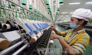 'Mạnh tay' với doanh nghiệp giao dịch liên kết ‘né thuế’