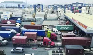 Hải quan Thành phố Hồ Chí Minh có nhiều giải pháp nuôi dưỡng nguồn thu