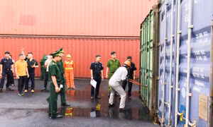 Buôn lậu quặng đồng 'trá hình’ là container xuất khẩu ván ép gỗ