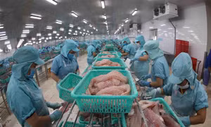 Nghị quyết về kế hoạch phát triển kinh tế - xã hội năm 2022