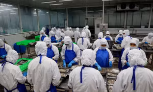 Tạo đà thúc đẩy tăng trưởng GDP