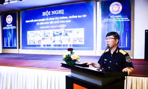 Tội phạm ma túy vận chuyển số lượng lớn ngày càng nhiều