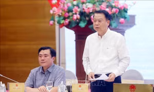 Thứ trưởng Bộ Tài chính: Tiến độ giải ngân các chương trình mục tiêu Quốc gia vẫn chậm