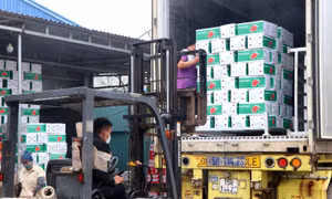 Kỳ vọng lãi vay 'hạ nhiệt' để hỗ trợ doanh nghiệp