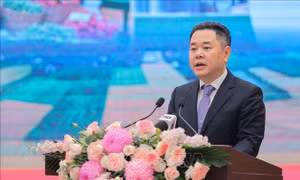 Khơi thông vốn vào khu vực kinh tế tập thể, theo tinh thần Nghị quyết 68 