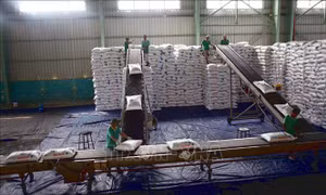 Đảm bảo nguồn cung phân bón cuối năm