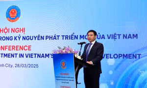 Thu hút nguồn lực thông qua các quỹ đầu tư và đầu tư nước ngoài 