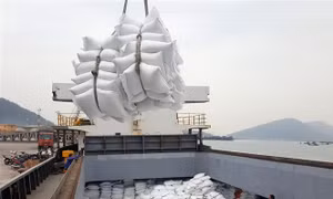 Tận dụng cơ hội để gạo Việt chiếm lĩnh thị trường 