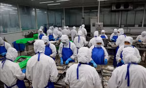 Xuất khẩu dần khởi sắc nhưng ‘đầu ra’ cho mặt hàng chủ lực vẫn gặp khó 