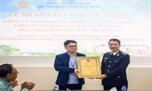 Thông quan kịp thời hàng nhập khẩu phục vụ dự án, nhà máy sản xuất, truyền tải điện