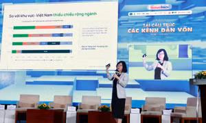 ‘Không chỉ trông chờ vốn ngoại, cần phát triển mạnh nhà đầu tư tổ chức nội địa’