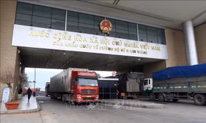 Thu ngân sách hải quan tháng 8 khởi sắc nhưng giảm 19,2% so với cùng kỳ