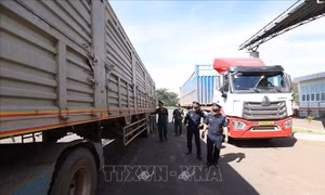 Bộ Công Thương hướng dẫn đăng ký cơ sở sản xuất thực phẩm nhập khẩu theo Lệnh 280