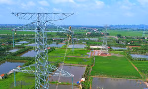 Vốn cho Dự án đường dây 500 kV Lào Cai - Vĩnh Yên sẽ được giải ngân trong 2 năm