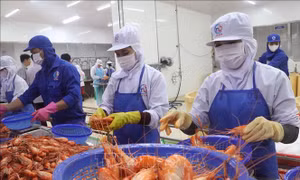 'Khoan thư sức dân', tạo dư địa cho doanh nghiệp phục hồi 