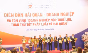 Hải quan tôn vinh 9 doanh nghiệp nộp thuế lớn, tuân thủ tốt 