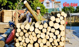 Những chiêu trò vi phạm trong hoàn thuế giá trị gia tăng