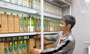 Doanh nghiệp thành lập mới tăng gần 25%, tiếp tục giải pháp thúc đẩy đầu tư tư nhân