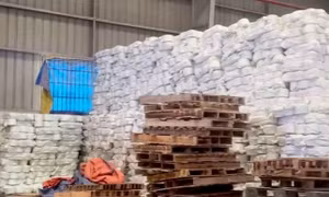 Hải quan rà soát, xem xét xử lý trách nhiệm công chức