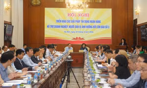 Chủ động nguồn lực, hỗ trợ hơn 83.400 khách hàng vay vốn bị thiệt hại do bão số 3