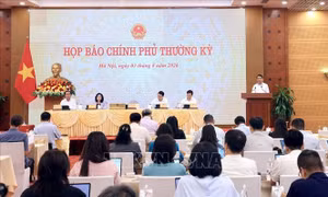 Ứng phó kịp thời với thiên tai, bảo vệ thành quả sản xuất nông nghiệp 