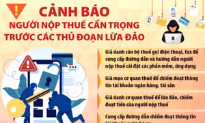  Tháng cao điểm quyết toán thuế, vẫn có người bị mắc bẫy lừa qua Zalo, VndeID 