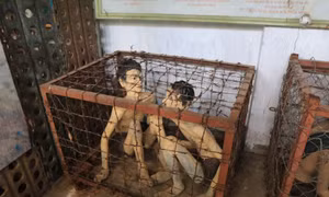Hàng nghìn hiện vật tưởng nhớ những chiến sỹ Cách mạng