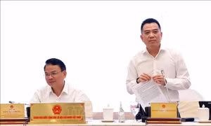 Xuất khẩu sầu riêng: Có thể truy xuất nguồn gốc trên hệ thống chuyển đổi số 