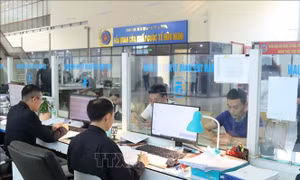 Cải tiến mạnh mẽ quy trình, hải quan giảm đáng kể thời gian thông quan 