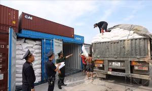 Chuyển đổi số tạo nền tảng cho hải quan hiện đại 