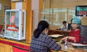 Thanh tra việc chuyển nhượng cổ phần, cổ phiếu tại các ngân hàng