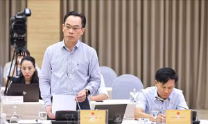  Tỷ lệ đăng ký tuyển sinh ngành vi mạch bán dẫn có số lượng tăng khá 