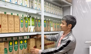 Ống hút rau củ với ‘sứ mệnh’ bảo vệ môi trường