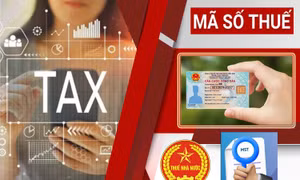 Làm sạch mã số thuế, gỡ ‘điểm nghẽn’ trong kinh doanh 