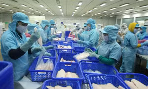 Gia hạn thuế, giảm phí để doanh nghiệp có cơ hội phục hồi năm 2021 