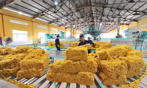 Ngành Thuế phản hồi lý do chậm hoàn thuế đối với những hồ sơ ‘kiểm tra trước hoàn’
