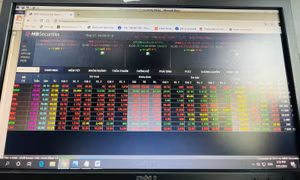 Lực bán tăng cao. VN-Index ‘hụt hơi’, quay đầu giảm 
