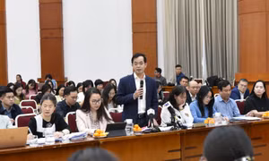 Phần lớn mặt hàng Mỹ xuất sang Việt Nam chịu thuế khoảng 15% 