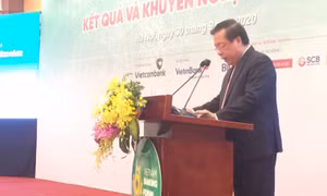 https://mediacms.baotintuc.vn/Upload/CL8u9kkMf4FRZAwokbqA/files/2020/09/Pho-thong-doc.jpg