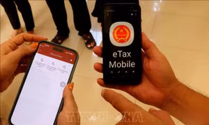 Cần Thơ thúc đẩy eTax Mobile tăng trải nghiệm cho người nộp thuế
