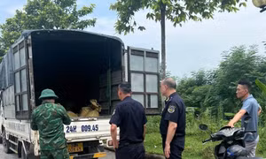 Tịch thu hơn 1 tấn chân gà, lạp xưởng và xúc xích đông lạnh nhập lậu