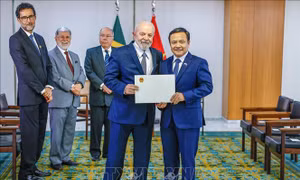  Đại sứ Việt Nam tại Brazil trình Thư ủy nhiệm lên Tổng thống Lula da Silva