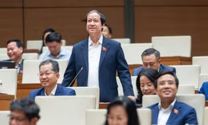 Kiến nghị bổ sung dạy thêm, học thêm vào danh mục ngành nghề kinh doanh có điều kiện