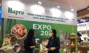 Hơn 300 doanh nghiệp tham gia Vietnam Expo 2021 